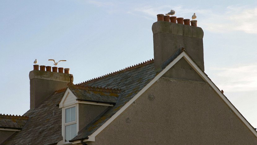 Tintagel 2006-06-05@1015-24